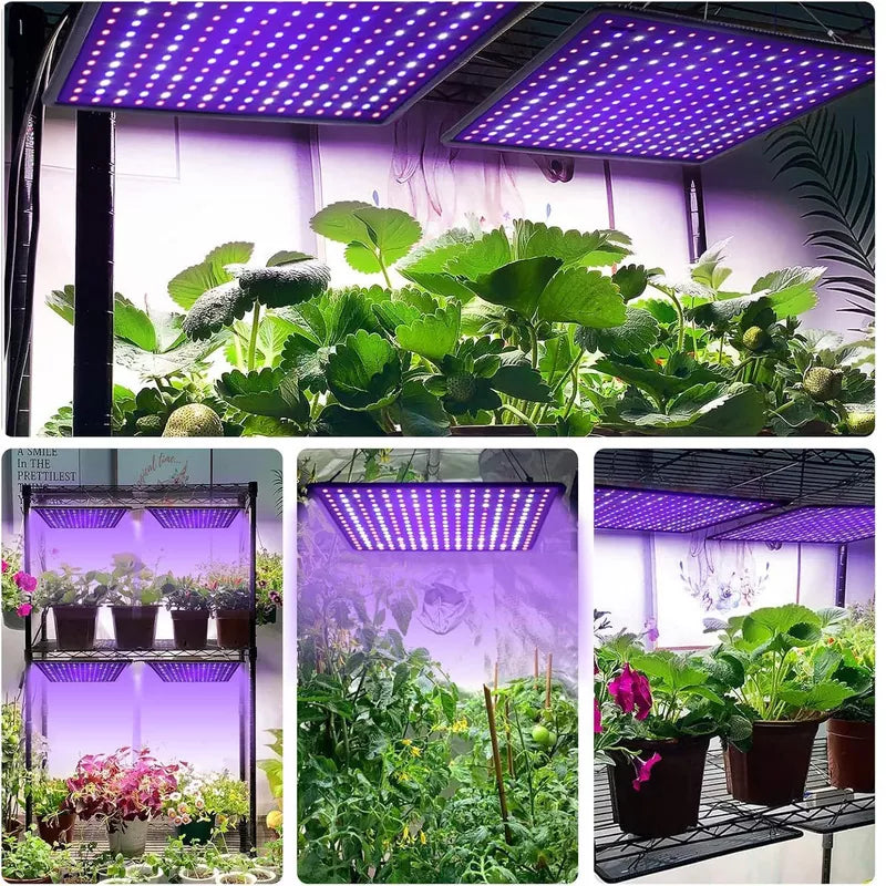 UV-IR Included Hanging Grow Lights for Indoor Plants Seedling 1000W
