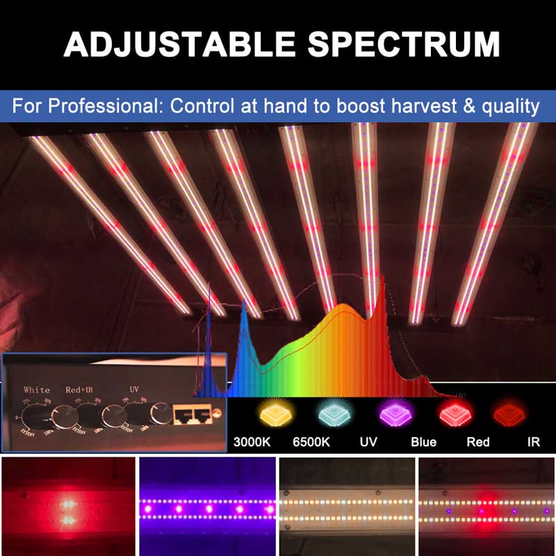 PPFD 2800 Umol/S Led Grow Lights 1000W Yields up to 4Lb