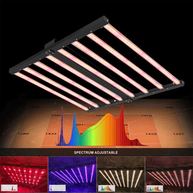 PPFD 2800 Umol/S Led Grow Lights 1000W Yields up to 4Lb