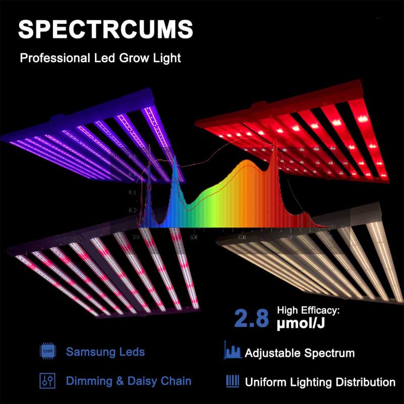 PPFD 2800 Umol/S Led Grow Lights 1000W Yields up to 4Lb