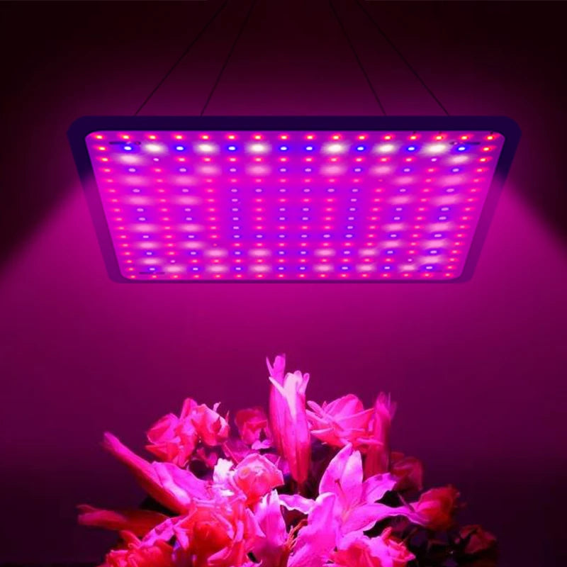 LED Grow Lights -A10