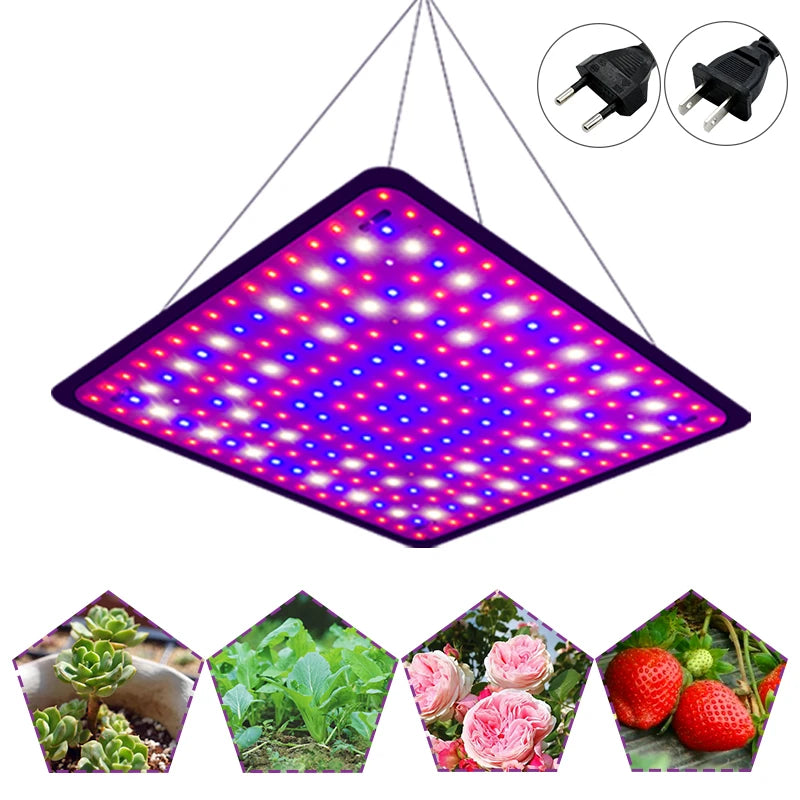 LED Grow Lights -A10