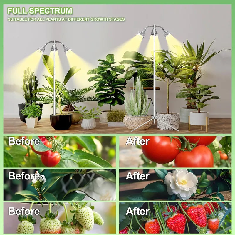 Grow Lights for Indoor Plants 10-55 Inches Height Adjustable - A5